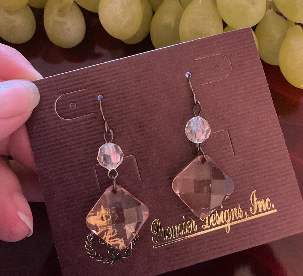 NWT Premier Designs Dangle Earrings